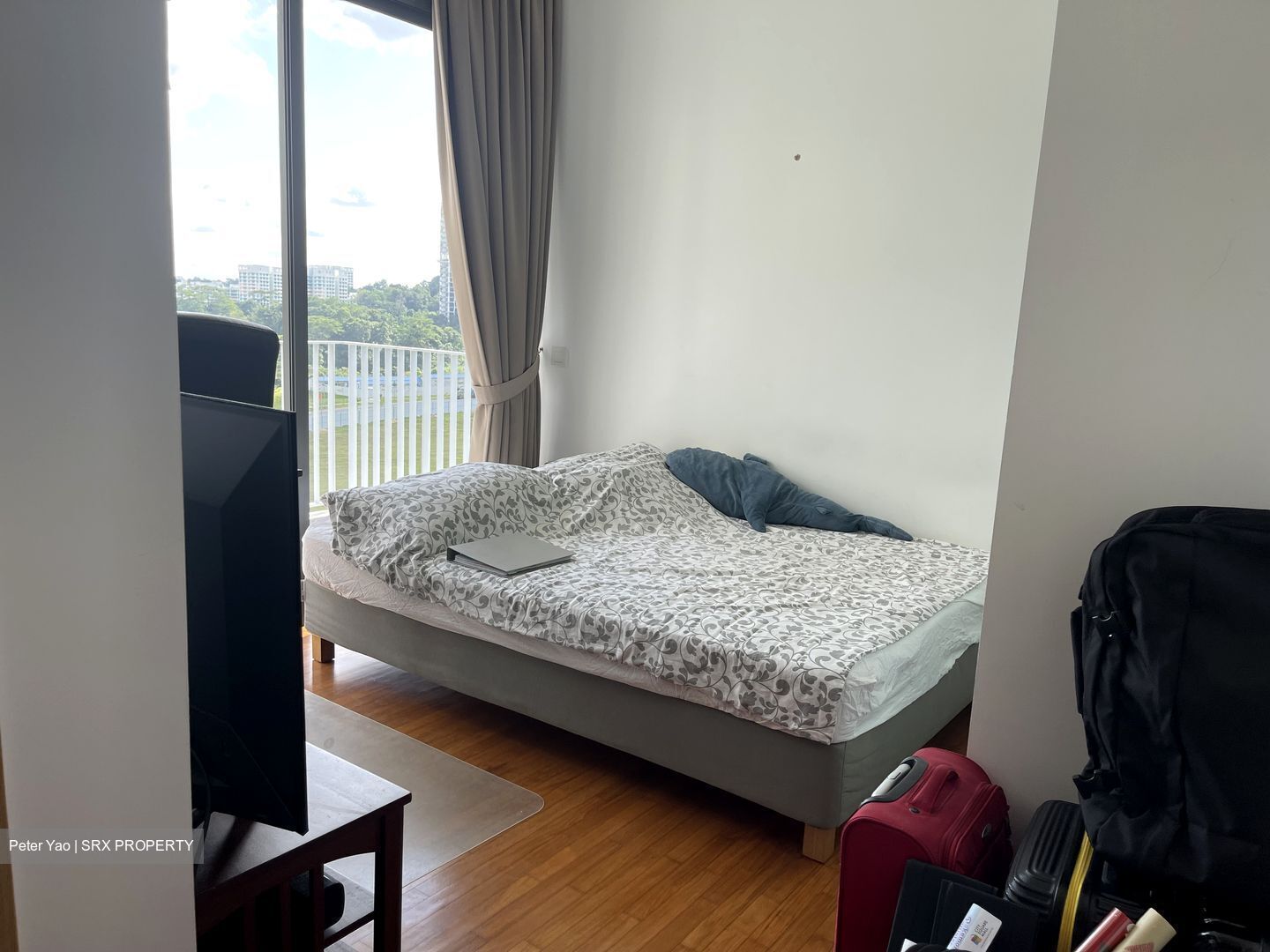 The Skywoods (D23), Condominium #367705621